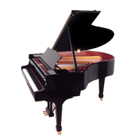 Steinway & Sons M170 Flügel Steinway and Sons Modell M170 zu Leihen bei R.Schnell Kronach Seelach