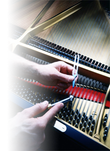 Klavier Flügel Stimmen durch R. Schnell Pianos in Kronach Seelach